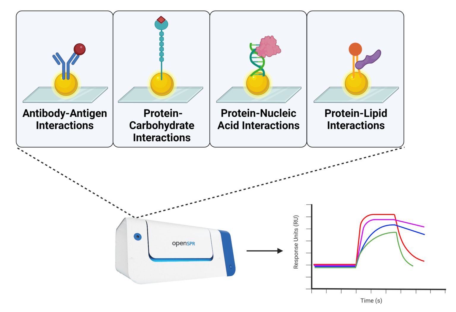 Spr For Characterizing Biomolecular Interactions