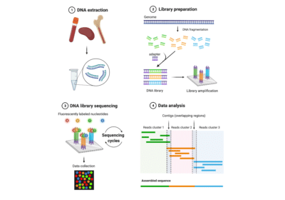 De Novo Protein Sequencing Vs Dna Sequencing - Rapid Novor