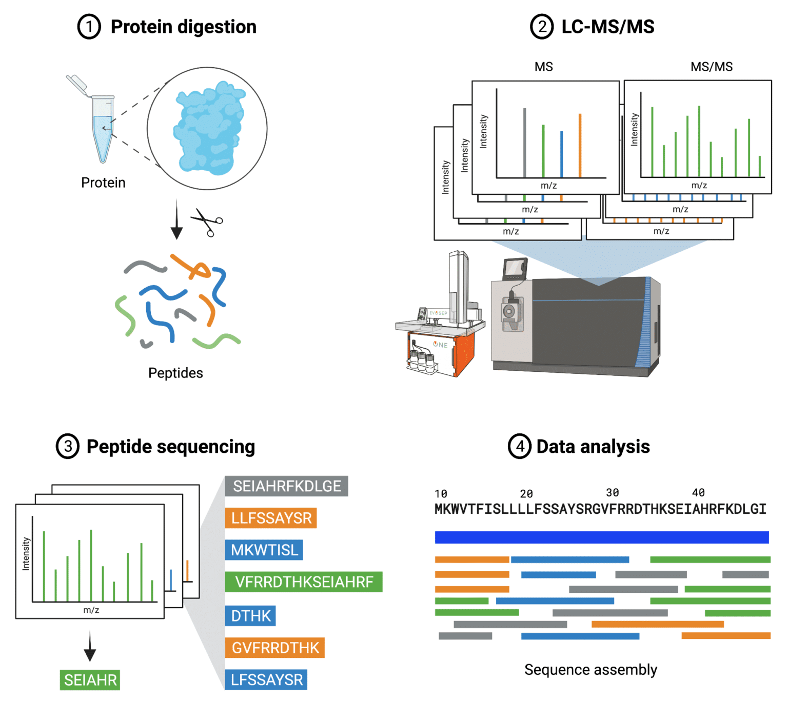 De Novo Protein Sequencing Vs DNA Sequencing - Rapid Novor