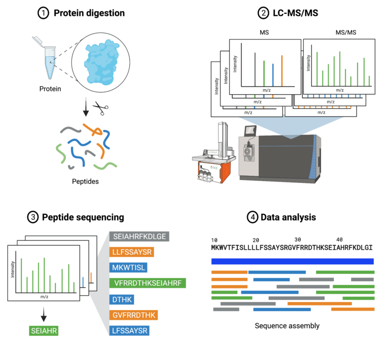 De Novo Protein Sequencing vs DNA Sequencing - Rapid Novor