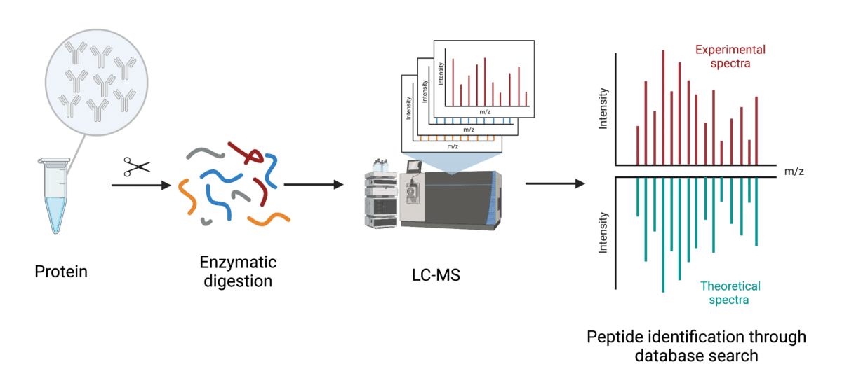 What Is Peptide Mapping Rapid Novor 1414