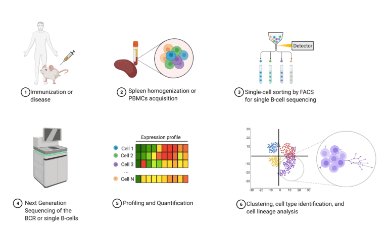 DNA Sequencing Vs Next Generation Protein Sequencing - Rapid Novor