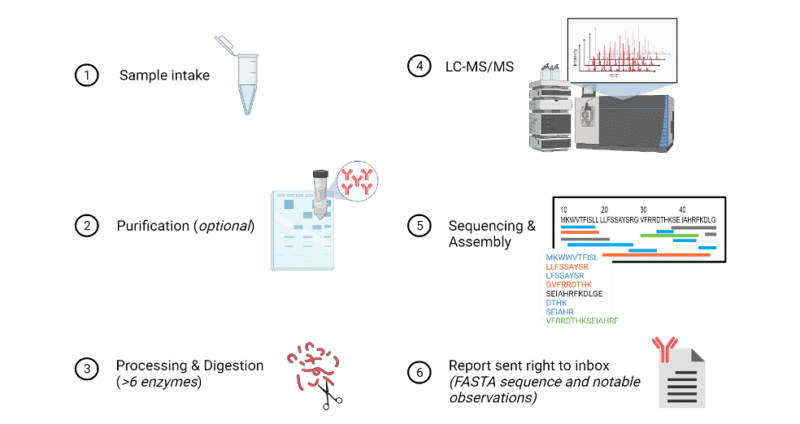 DNA Sequencing Vs Next Generation Protein Sequencing - Rapid Novor