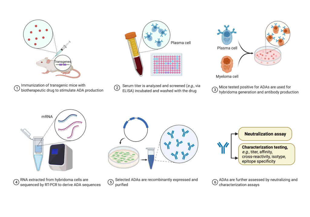 Anti Drug Antibody Assays With Next Generation Protein Sequencing