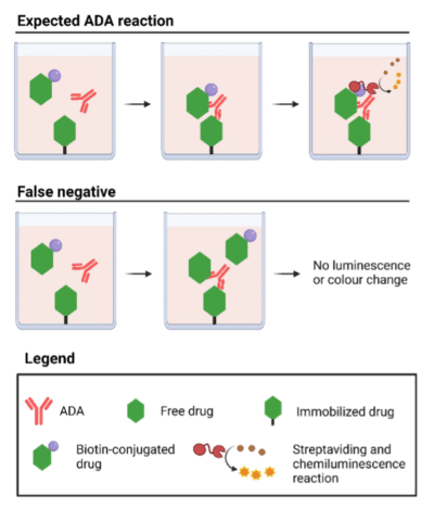 Anti-Drug Antibody Assays With Next Generation Protein Sequencing