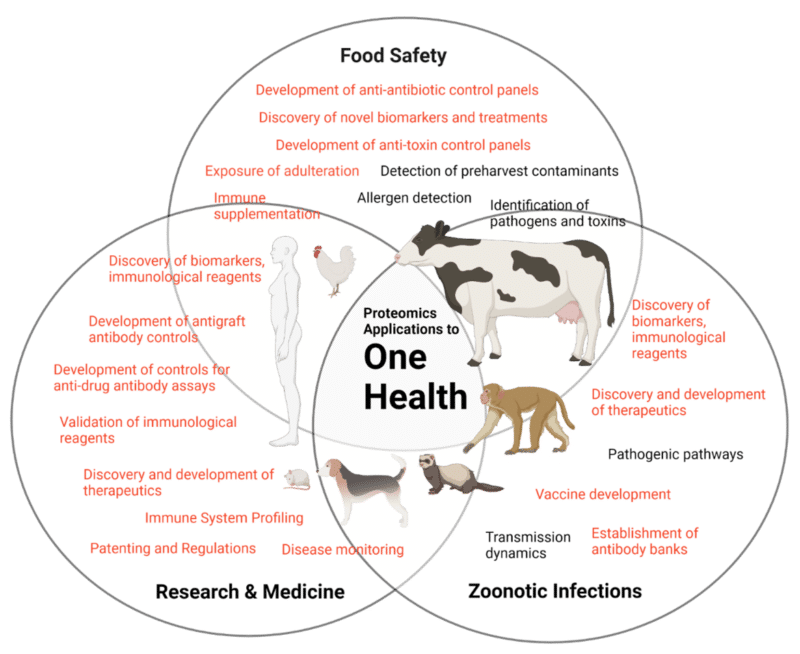 Next Generation Protein Sequencing In Veterinary Medicine - Rapid Novor