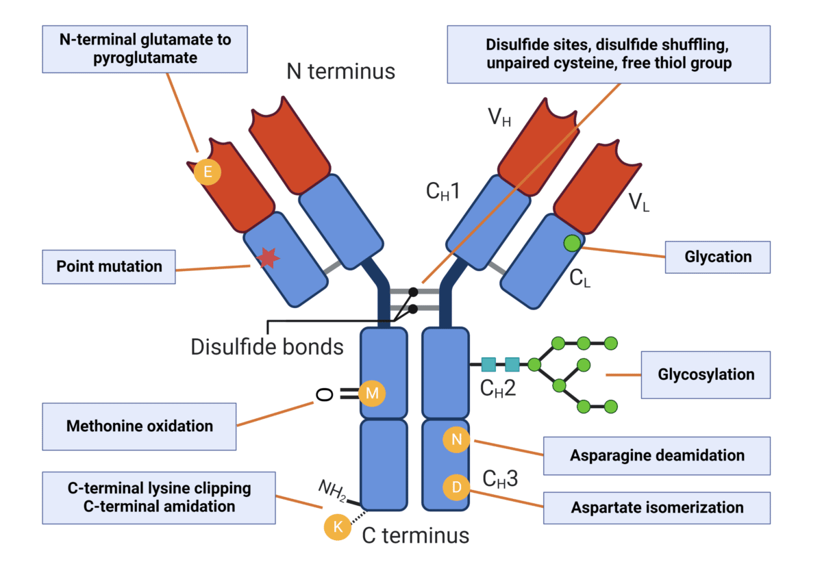 Moving Towards Biosimilar Drugs - Rapid Novor