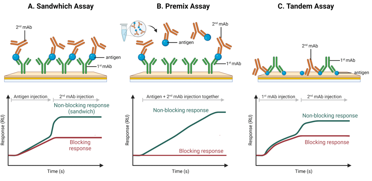 Epitope Binning With SPR For Antibody Drug Discovery