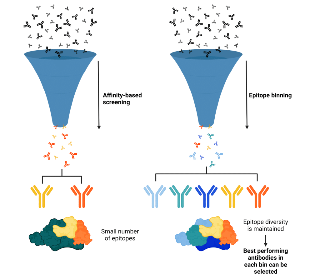 Epitope Binning With SPR For Antibody Drug Discovery