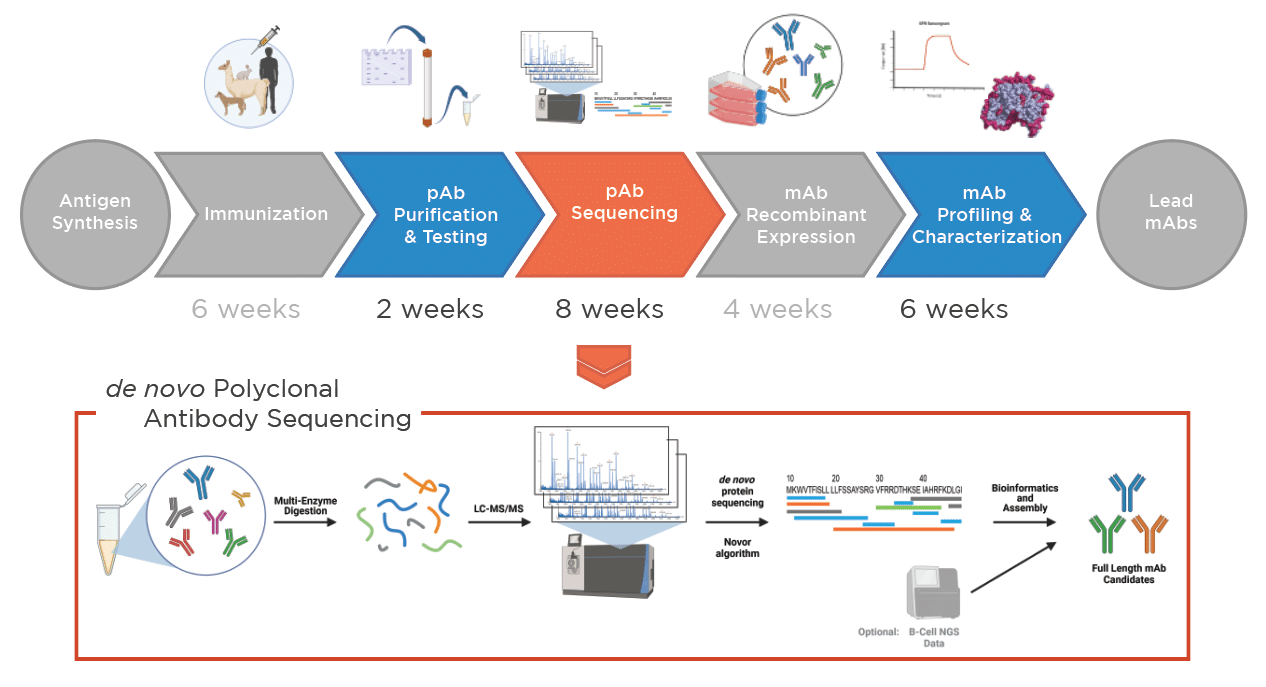 showcase of antibody generation platform to obtain high affinity antibodies even for most challenging targets